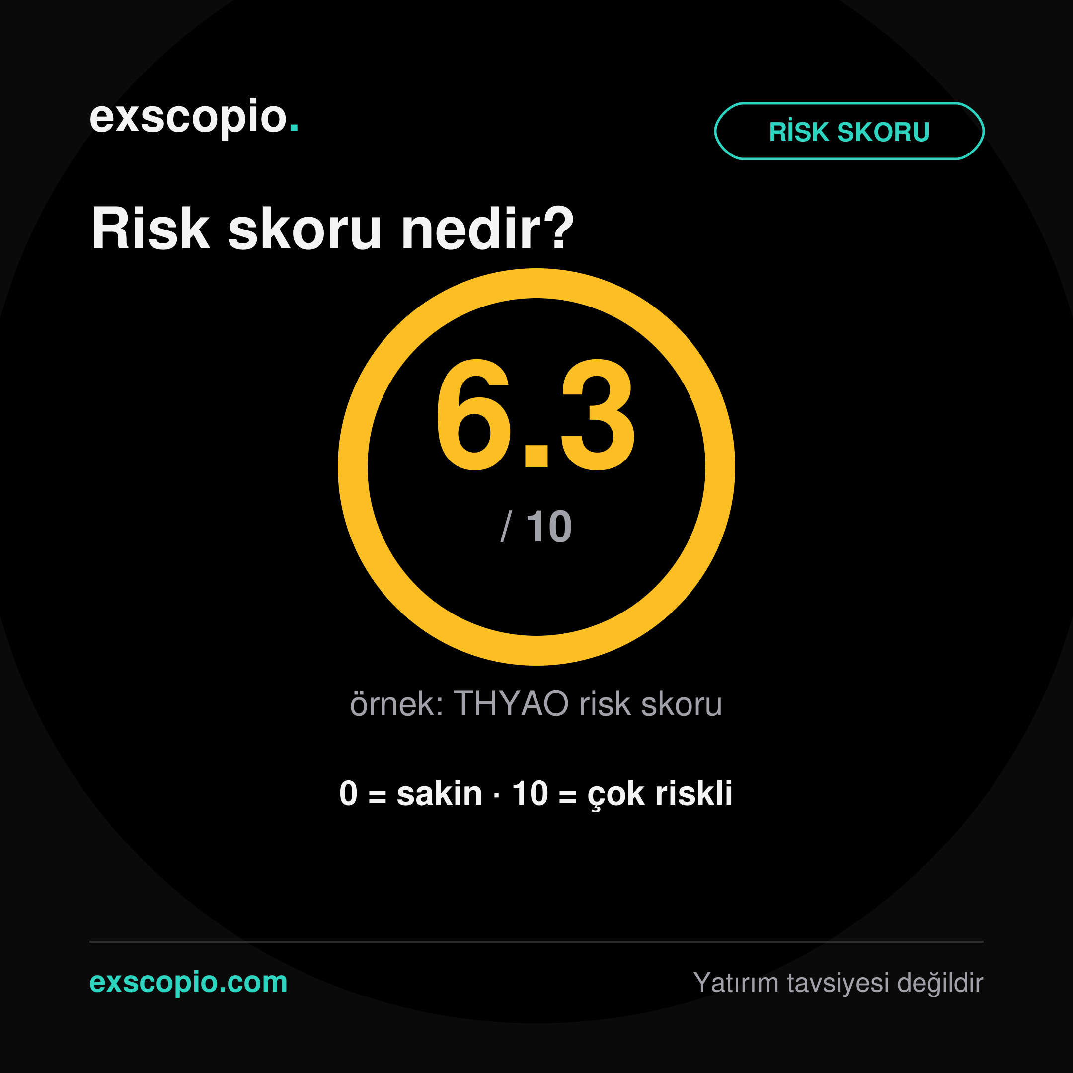 Risk skoru