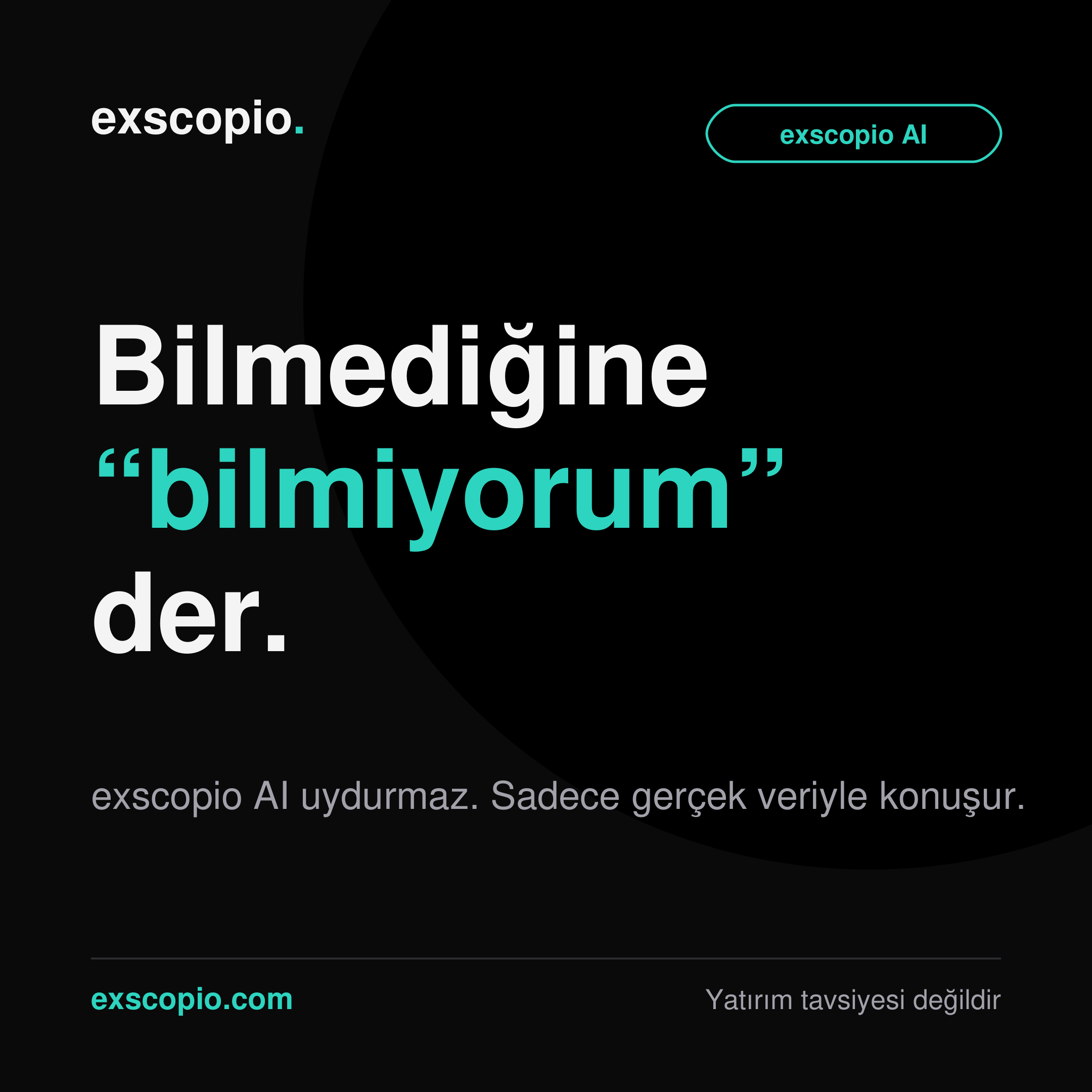 AI özeti